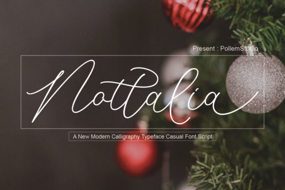 Nottalia: A Modern Script Font for Business