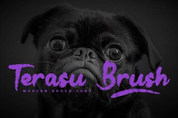 Terasu Brush: A Handwritten Font for Creative Campaigns